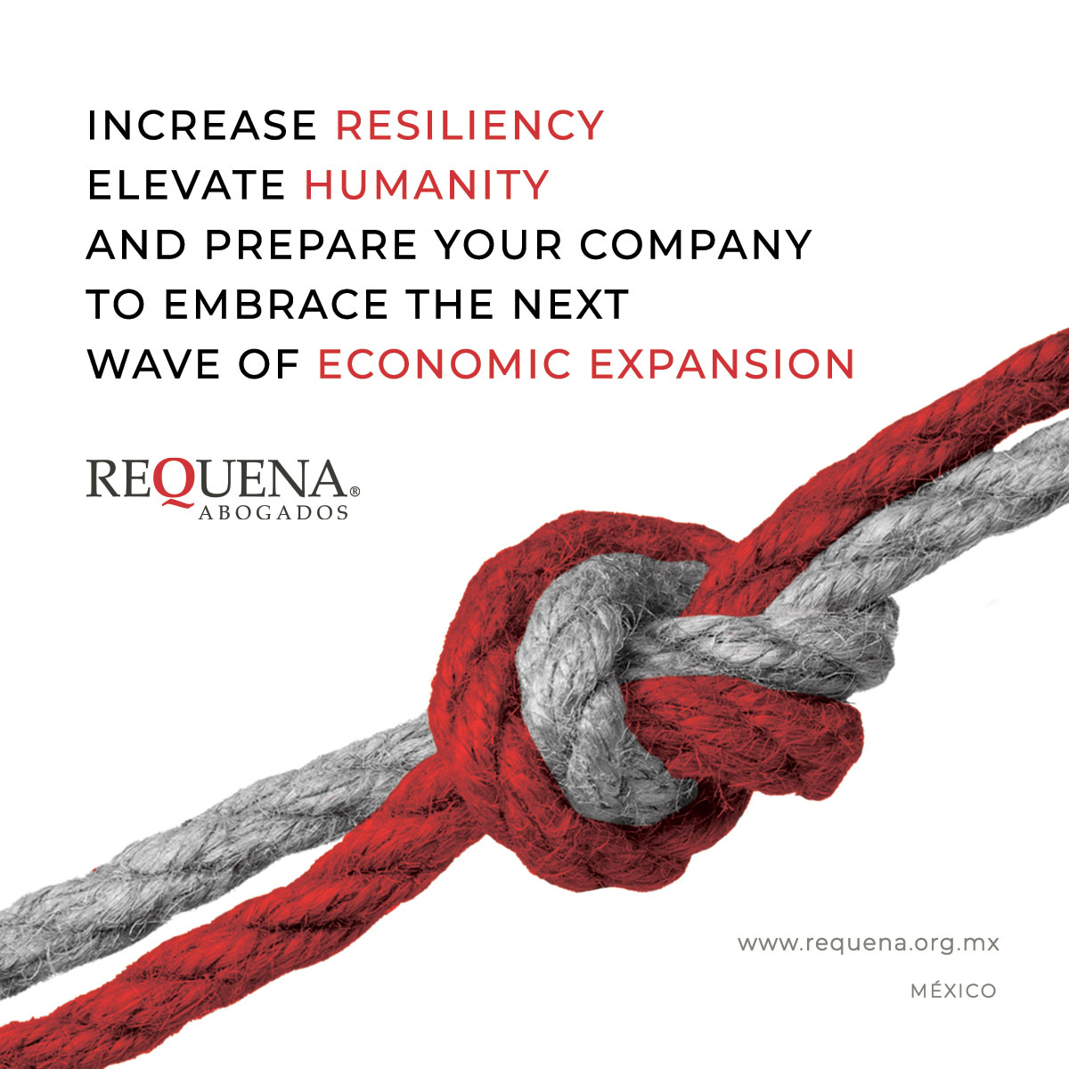 Increase resiliency elevate humanity and prepare your company to embrace the next wave of economic expansion | Covid-19 | Requena Abogados